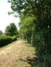 FOL_Loic_08.jpg (67711 octets)