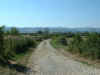 FOL_Loic_11.jpg (38271 octets)
