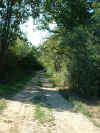 FOL_Loic_15.jpg (67232 octets)